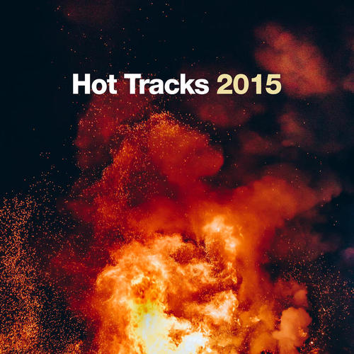 Hot Tracks 2015 (Explicit)