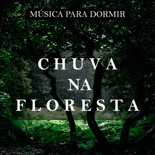 Música Para Dormir: Chuva na Floresta