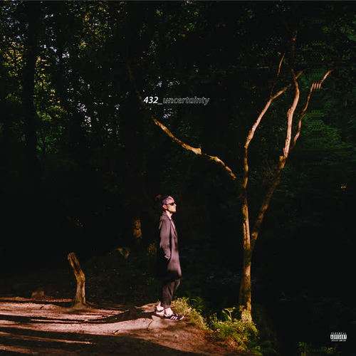 432_uncertainty (Explicit)