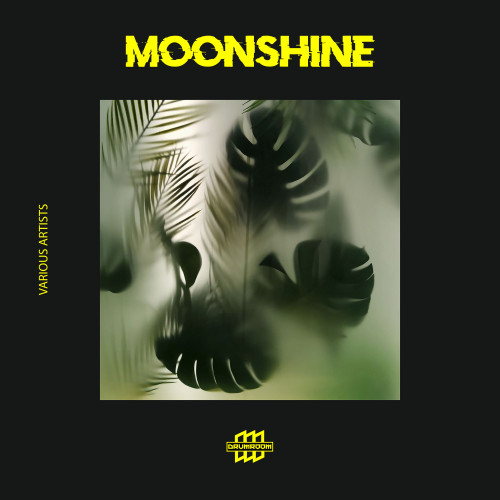 Moonshine