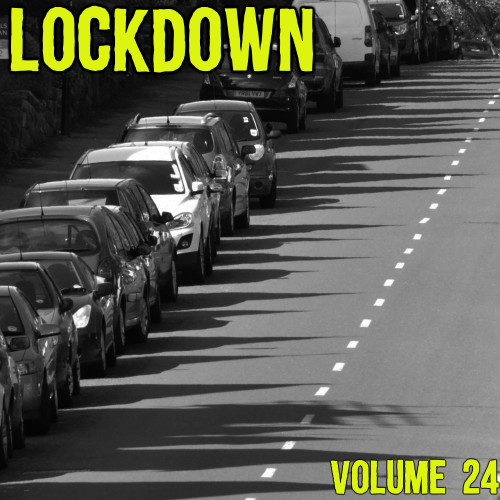 Lock Down Vol. 24