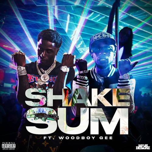 Shake Sum (feat. WoodBoy Gee) [Explicit]