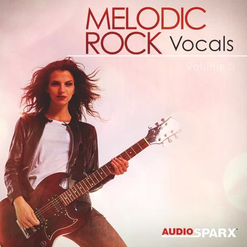 Melodic Rock Vocals Volume 5