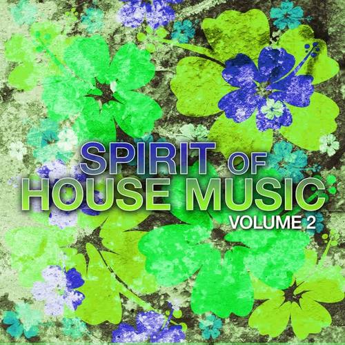 Spirit of House Music, Vol. 2