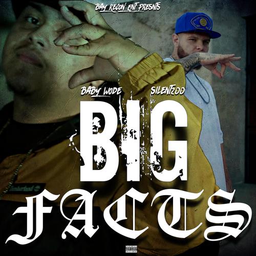 Big Facts (feat. Baby Wode) [Explicit]