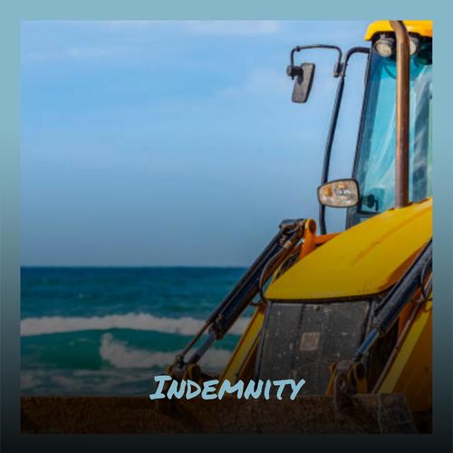 Indemnity