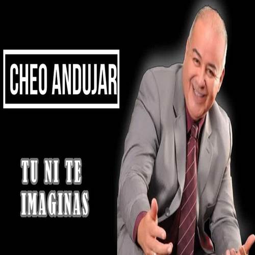 Tu Ni Te Imaginas