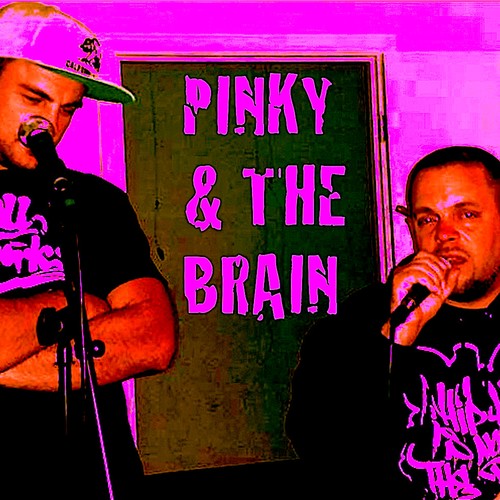 PINKY & THE BRAIN, Vol. 1