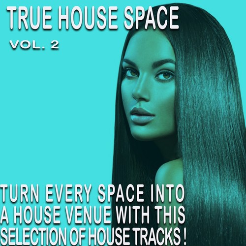 The House Space, Vol. 2