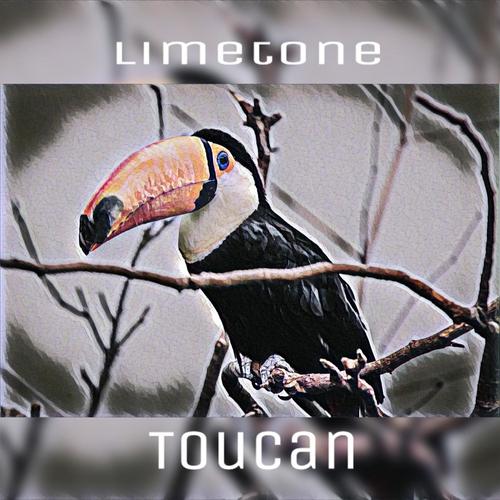 Toucan