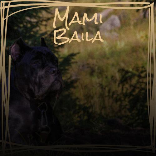 Mami Baila