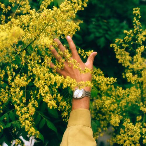POLLEN