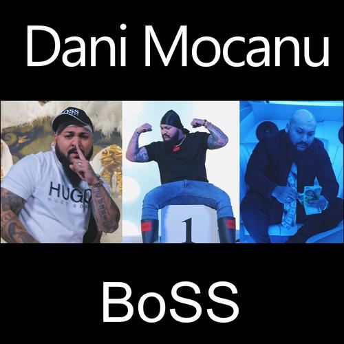 Dani Mocanu piese vechi