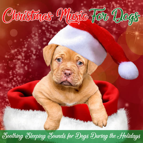 Christmas Music for Dogs: Soothing Sleeping Sounds for Dogs During the Holidays