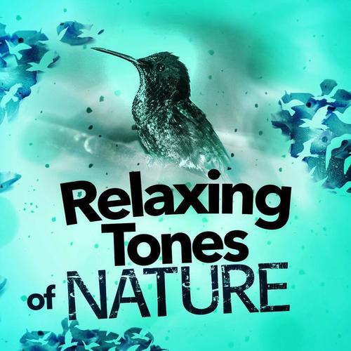 Relaxing Tones of Nature