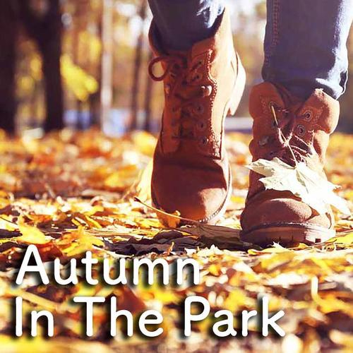 Autumn In The Park