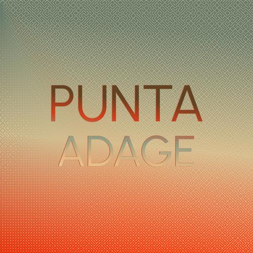 Punta Adage