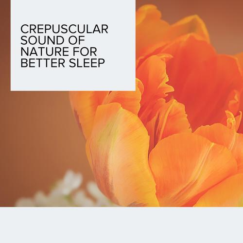 Crepuscular Sound of Nature for Better Sleep