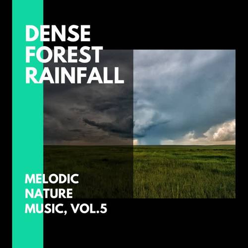 Dense Forest Rainfall - Melodic Nature Music, Vol.5