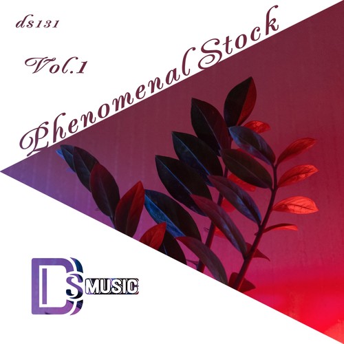 Phenomenal Stock, Vol. 1