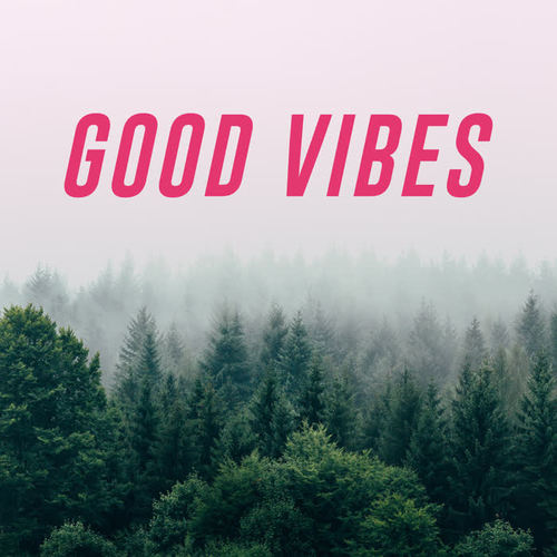 Good Vibes (Explicit)