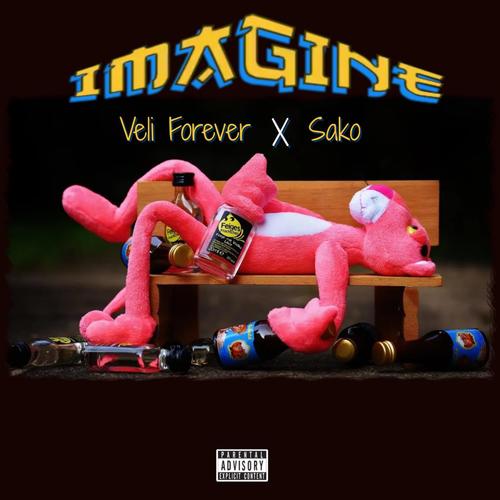 Imagine (feat. Sako) [Explicit]