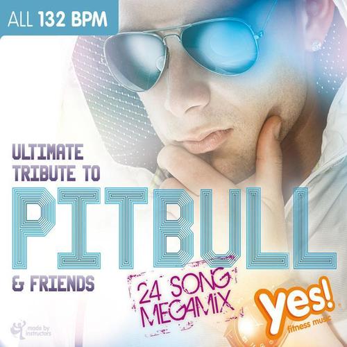 ULTIMATE TRIBUTE TO PITBULL & FRIENDS