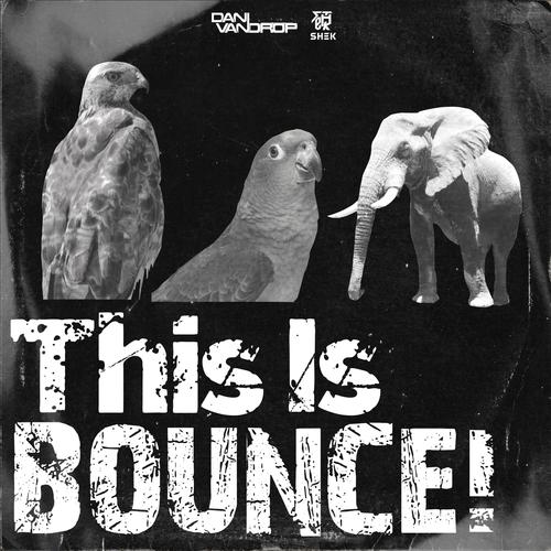 This Is BOUNCE! (Radio Edit)