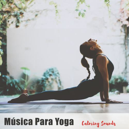 Música Para Yoga - Calming Sounds