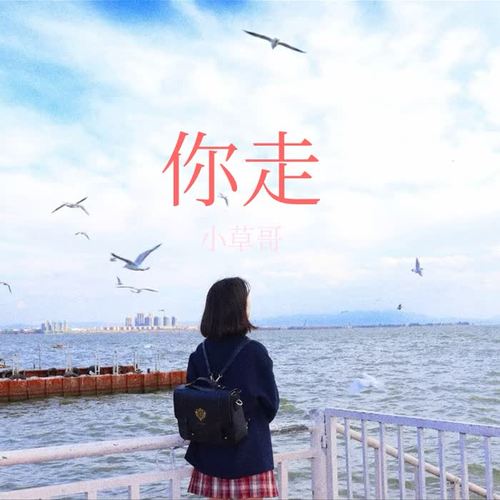 你走