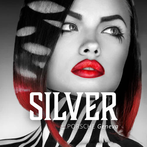 Silver (Long Version)
