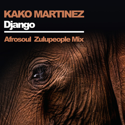 Django (Afrosoul Zulupeople Mix)