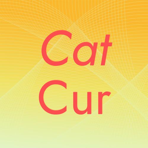 Cat Cur