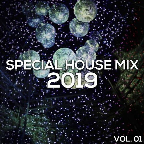 Special House Mix 2019, Vol. 01