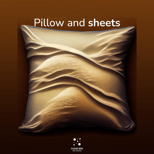 Pillow and sheets