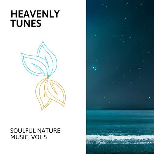 Heavenly Tunes - Soulful Nature Music, Vol.5