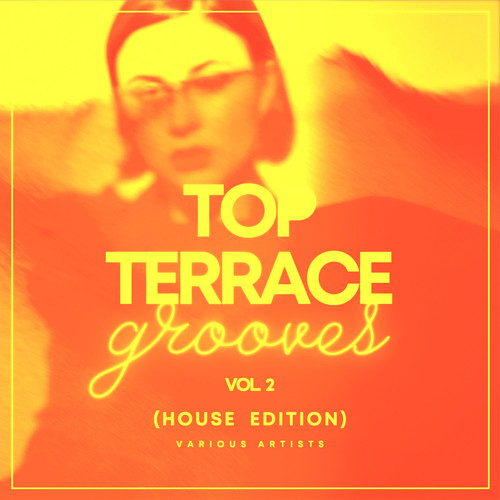 Top Terrace Grooves (House Edition), Vol. 2