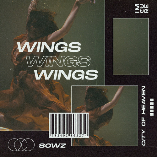 Wings