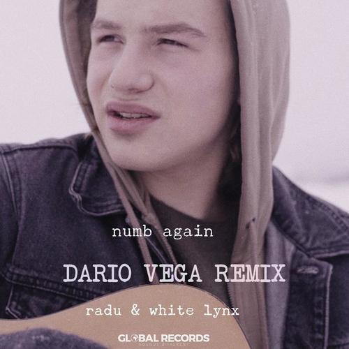 Numb Again (Dario Vega Remix)