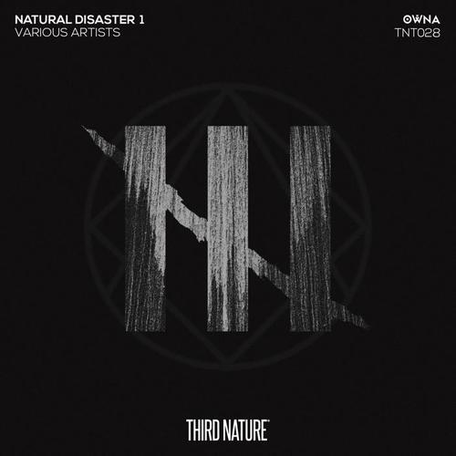 Natural Disaster 1