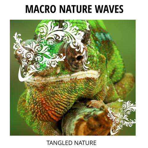 Macro Nature Waves - Tangled Nature