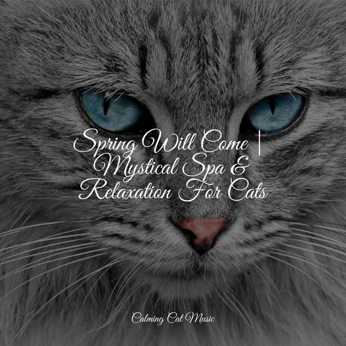 Spring Will Come | Mystical Spa & Relaxation For Cats