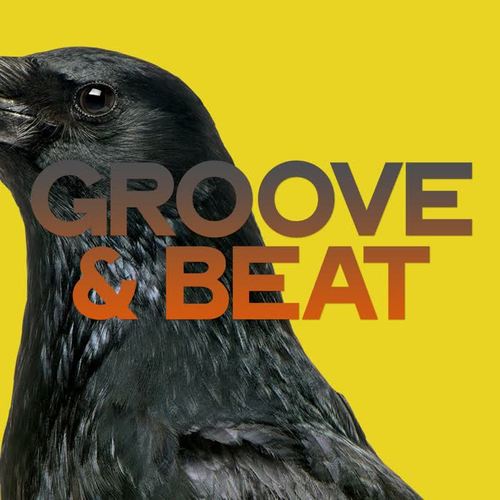 Groove & Beat (Selection House Music)