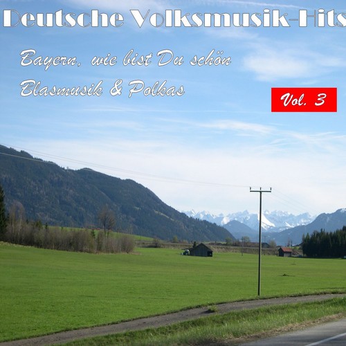 Deutsche Volksmusik Hits - Bayern, wie bist du schön: Blasmusik & Polkas, Vol. 3