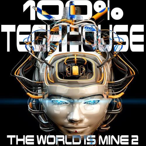 100% Tech House, the World Is Mine, Vol. 2 (Analogue Journey Into Techno, Electro, Minimalistix)