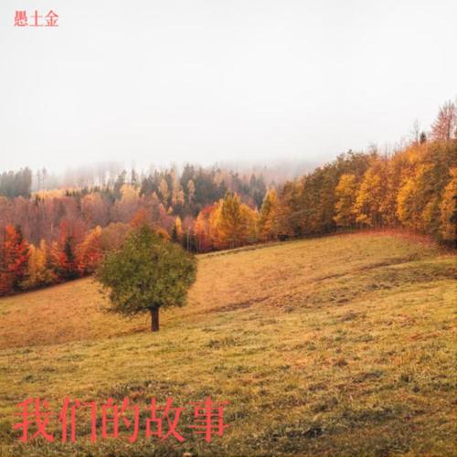 我们的故事