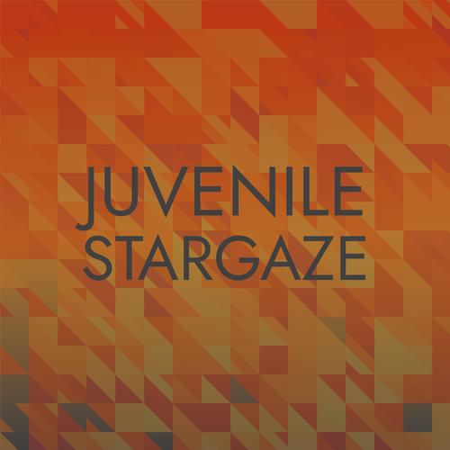 Juvenile Stargaze