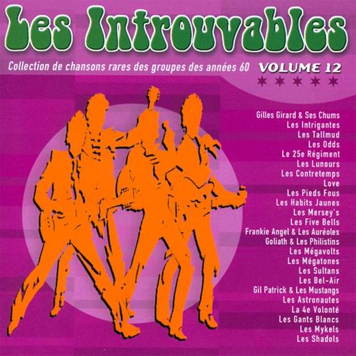 Collection de chanson rares des groupes des années 60 Volume 12