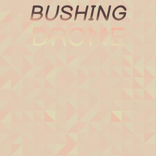 Bushing Drome