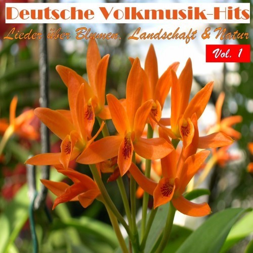 Deutsche Volksmusik Hits - Lieder über Blumen, Landschaft & Natur, Vol. 1